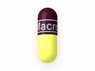 Macrobid (Nitrofurantoin monohydrate)