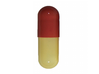 cenmox_amoxicillin.jpg Cenmox (Amoxicillin)